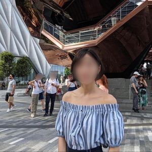 Zara Off the shoulder Cropped Blouse